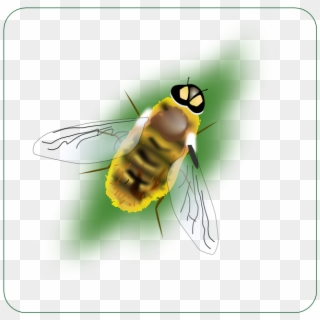 This Free Clip Arts Design Of Digital Bee Art - Bee Clipart, HD Png Download