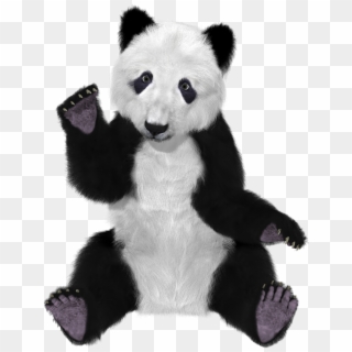Panda China Bear Furry Big Bear Png Image - Panda Teddy Bear Png Transparent, Png Download