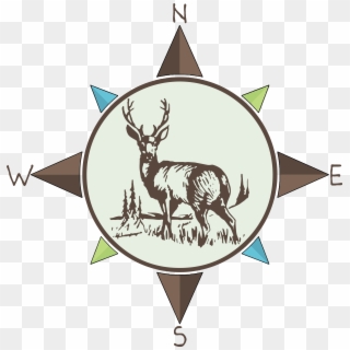 Compass, HD Png Download
