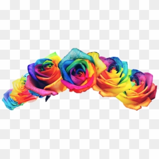 #rainbow #rainbowflower #flowercrown #pride - Rainbow Rose Flower Crown, HD Png Download