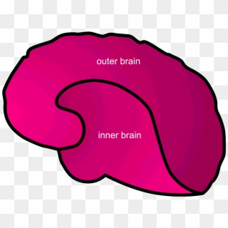 Inner Vs Outer Brain, HD Png Download