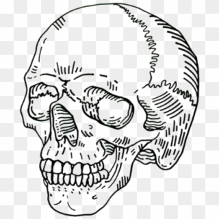 Ftestickers Sticker - Skull Drawing Aesthetic, HD Png Download