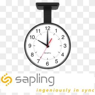 Sapling - Sapling Clock, HD Png Download