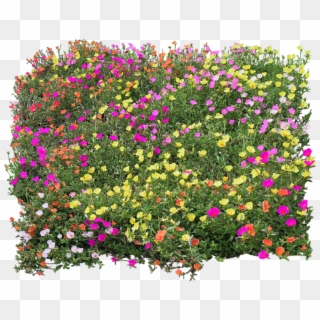 Flower Mapping Bed Top View Transprent Png, Transparent Png