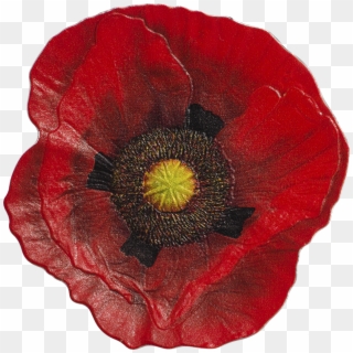2017 $5 Cook Islands Remembrance Poppy - Символ Второй Мировой Войны, HD Png Download