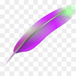 Free Freedownloads Com - Feather, HD Png Download