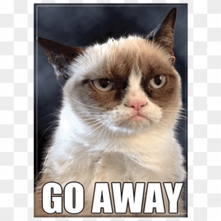 Grumpy Cat, HD Png Download