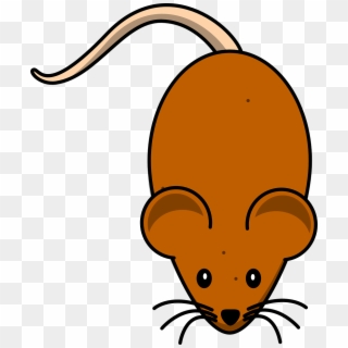 Mice Mouse Brown Rodent Animal Png Image - Cute Mouse Clip Art, Transparent Png