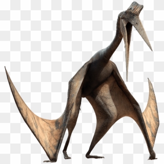 Clipart Royalty Free Alive Wiki Fandom Powered By Wikia - Walking With Dinosaurs The Movie Pterosaur, HD Png Download