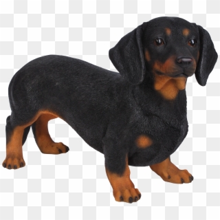 Dachshund Png - Dachshund Statues, Transparent Png