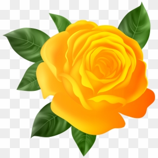 #mq #orange #roses #rose #flowers - Transparent Background Pink Rose Png, Png Download