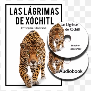 Las Lagrimas - Animal Transparent Background, HD Png Download