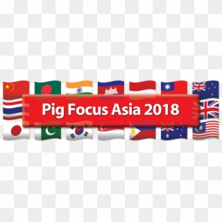 Pig Focus Asia - Flag, HD Png Download