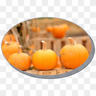 Pumpkin Festival At The Gateway Shopping Center On - No Halloween Sign Christian, HD Png Download