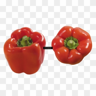 Pepper , Png Download - Peppers, Transparent Png