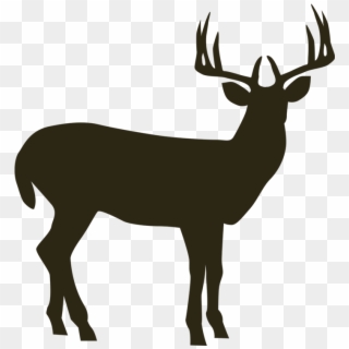 Hunter Clipart Moose Hunting - Pixwords Deer, HD Png Download