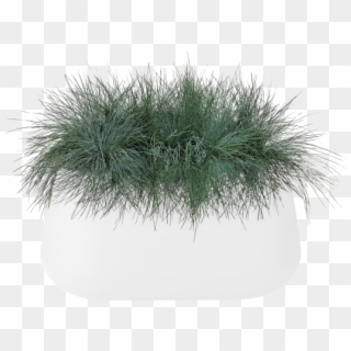 Home > Collection > Pure Cone Long - Grass, HD Png Download
