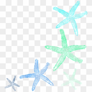 Blue Free On Dumielauxepices Net - Starfish, HD Png Download