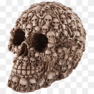 Price Match Policy - Skull, HD Png Download