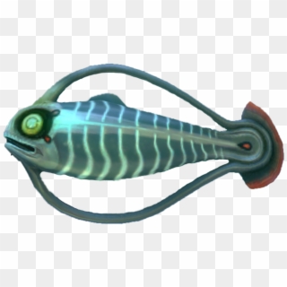 Everything In Existence - Spine Fish Subnautica, HD Png Download