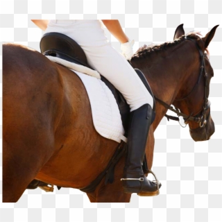 Caballo - Equestrianism, HD Png Download
