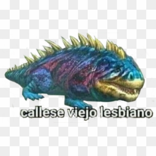 #dinomeme #png #sticker #whatsapp - Callese Viejo Lesbiano Dino Memes, Transparent Png