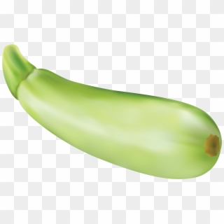 Zucchini Png Vector Clipart Image - Zucchini Clipart, Transparent Png