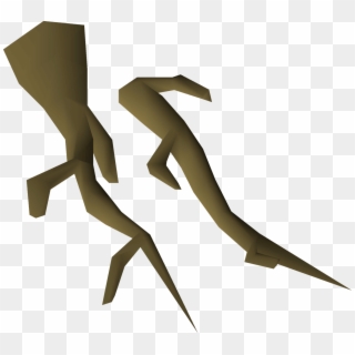 Gambar Akar Png, Transparent Png