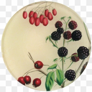 Lingonberry, HD Png Download