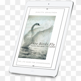 Free Birds Fly - Trumpeter Swan, HD Png Download