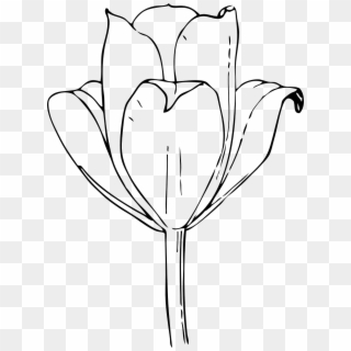 Flower Black And White Floral Png Image - Tulip Flower Black And White, Transparent Png