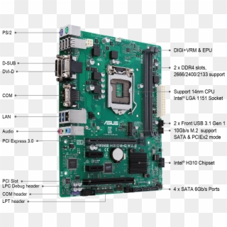 Internationally Certified Business Motherboard - Asus Prime H310m C Csm, HD Png Download
