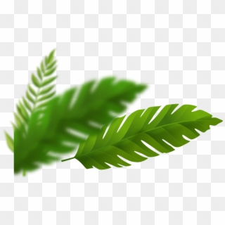 From Mountain Heights To The Other Side Of The Jungle, - Fern, HD Png Download