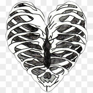 Skeletons Drawing Aesthetic - Heart Skeleton Drawing, HD Png Download