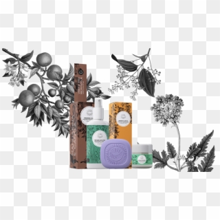 Produtos - Illustration, HD Png Download
