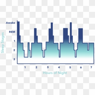 Sleep Education Article, 4 Stages Of Sleep Graphic - Plot, HD Png Download