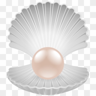 Clam With Pearl Transparent Png Clip Art Image, Png Download