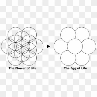 Egg Of Life - Meaning Flower Of Life Symbol, HD Png Download