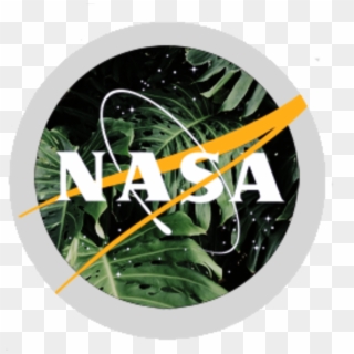 Aesthetic Nasa Logo, HD Png Download