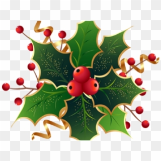 Christmas Holly Png, Transparent Png