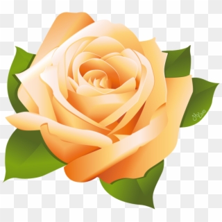 Rose Vector By Stoobainbridge - Yellow Rose Vector Png, Transparent Png
