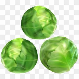 0, - Brussels Sprout Clipart Png, Transparent Png