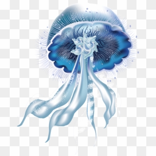 Jellyfish Png Picture - Jellyfish Png, Transparent Png