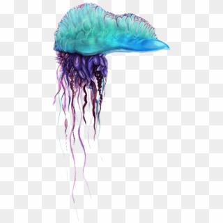 Free Png Blue Bottle Jellyfish Png Pics Png Images - Man Of War Jelly Fish Transparent Background, Png Download