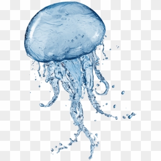 Jellyfish Transparent Images Png - Jellyfish Png, Png Download