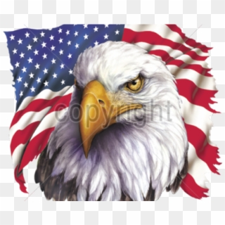 Bald Eagle Clipart Patriotic - American Eagle Images Transparent Png, Png Download