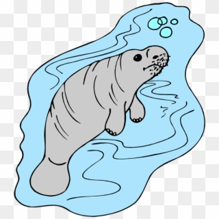 Manatee Clipart Cliparts And Others Art Inspiration - Manatee, HD Png Download