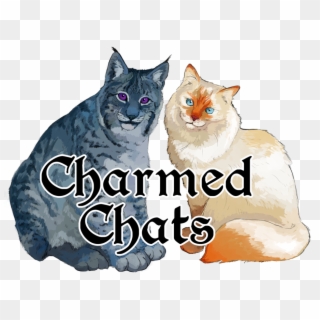 <br>episode 209<br> Charmed Chats, HD Png Download