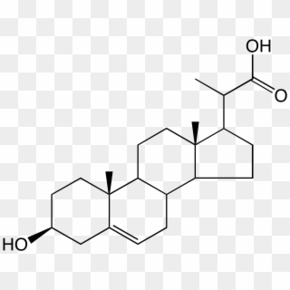 23, 24 Bisnor 5 Cholenic Acid 3β Ol - Canrenone, HD Png Download