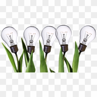 Innovation Png - Light Bulb Plants Png Transparent, Png Download